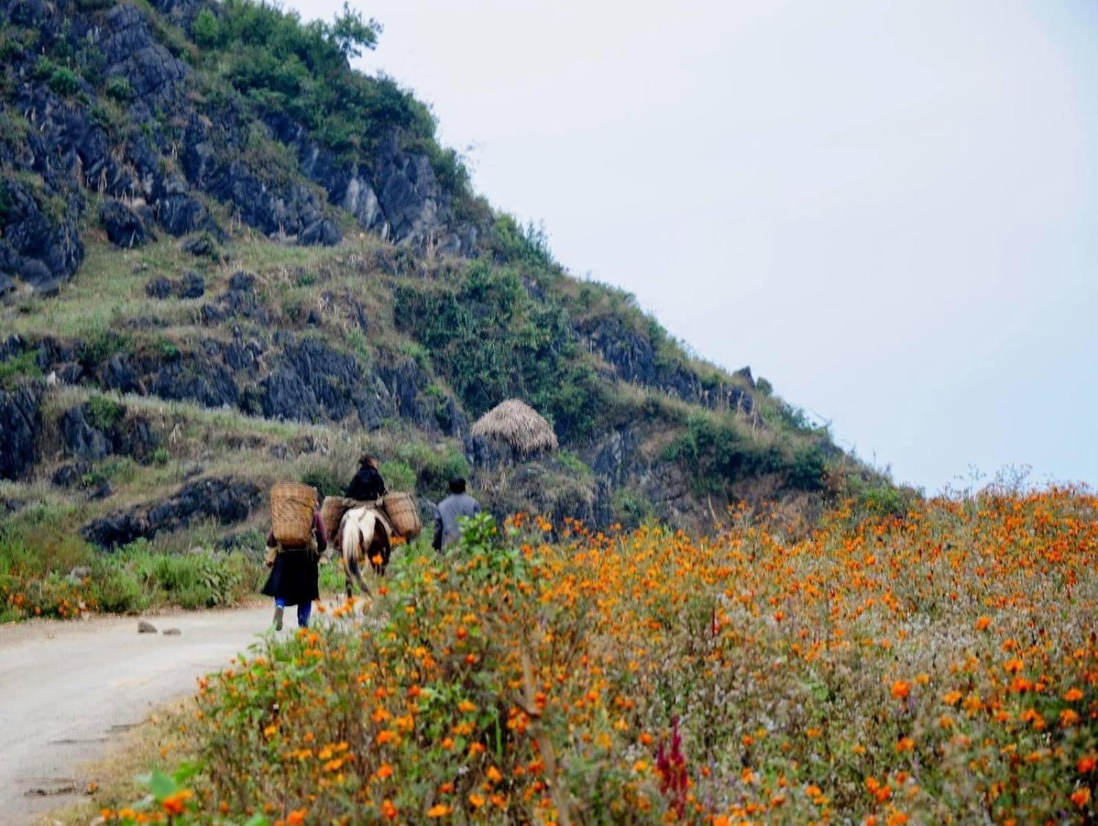Hang Thuong Hostel - Motorbikes And Tour 하 기앙 외부 사진